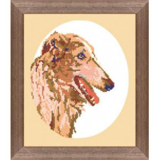 Greyhound (dog)