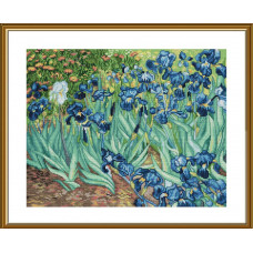 Irisi. van Gogh