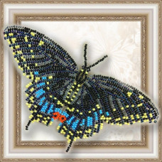 Black Swallowtail (magnet)