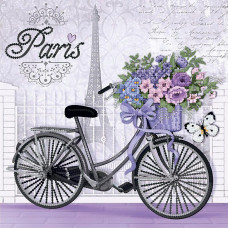 Paris bike