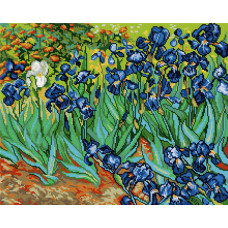 Pivniki, W. van Gogh