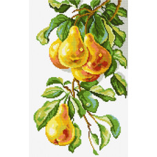 Pears, 20x31 cm