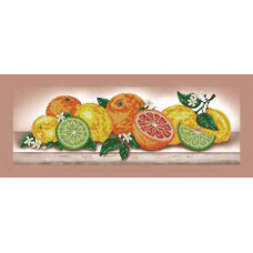 Citrus boom, 58x23.5 cm