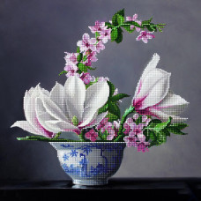 Delicate magnolia