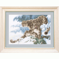 Leopards in the snow