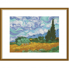 Wheat field with cypresses