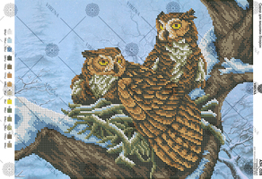 A pair of owls